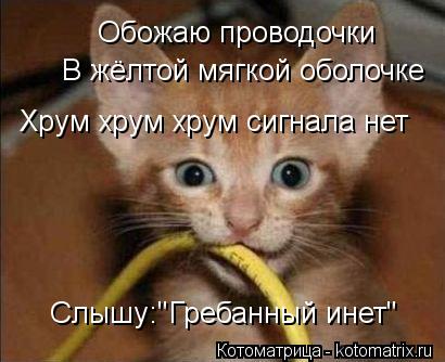 Котоматрица: Обожаю проводочки В жёлтой мягкой оболочке Хрум хрум хрум сигнала нет Слышу:"Гребанный инет"