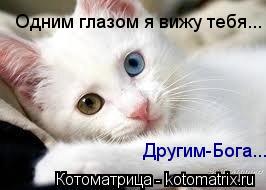 Одним глазом я вижу тебя... Другим-Бога...... Котоматрица: Одним глазом я вижу тебя... Другим-Бога...