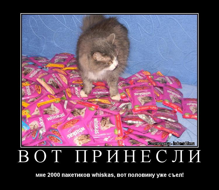 вот принесли мне 2000 пакетиков whiskas, вот половину уже съел!... Котоматрица: вот принесли мне 2000 пакетиков whiskas, вот половину уже съел!