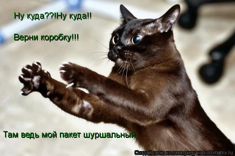 Ну куда??!Ну куда!! Верни коробку!!! Верни коробку!!! Там ведь мой пакет шуршальный, Там ведь мой пак... Котоматрица: Ну куда??!Ну куда!! Верни коробку!!! Верни коробку!!! Там ведь мой пакет шуршальный, Там ведь мой пакет шуршальный,