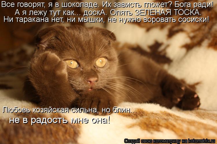 Все говорят, я в шоколаде. Их зависть гложет? Бога ради! А я лежу тут как... доскА. Опять ЗЕЛЕНАЯ Т... Котоматрица: Все говорят, я в шоколаде. Их зависть гложет? Бога ради! А я лежу тут как... доскА. Опять ЗЕЛЕНАЯ ТОСКА. Ни таракана нет, ни мышки, не нужно вор