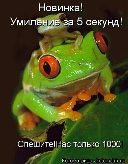 Новинка! Умиление за 5 секунд! Спешите!Нас только 1000!... Котоматрица: Новинка! Умиление за 5 секунд! Спешите!Нас только 1000!