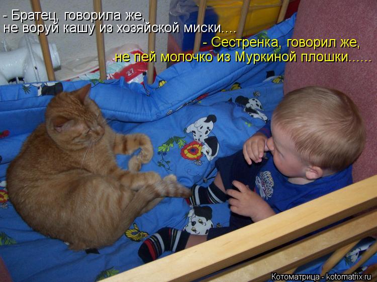 Котоматрица: - Братец, говорила же,  не воруй кашу из хозяйской миски.... - Сестренка, говорил же, не пей молочко из Муркиной плошки......