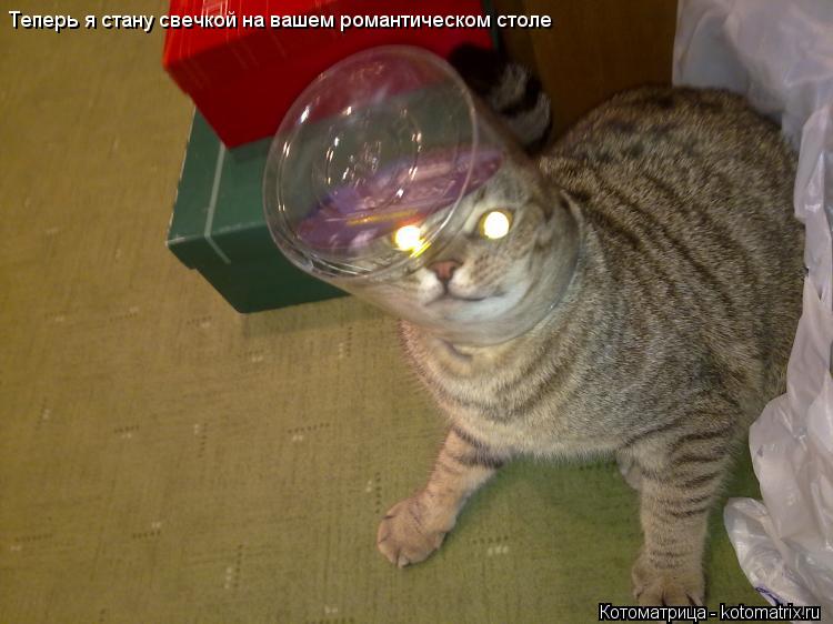 Котоматрица: Теперь я стану свечкой на вашем романтическом столе