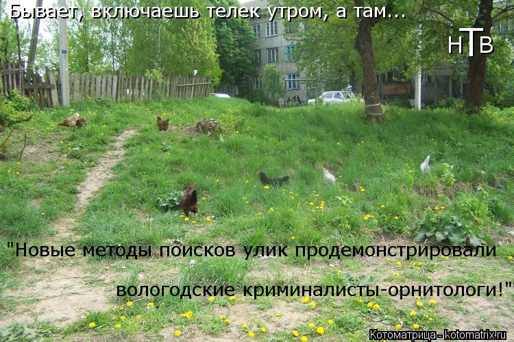 Бывает, включаешь телек утром, а там... Н В Т вологодские криминалисты-орнитологи!" "Новые методы по... Котоматрица: Бывает, включаешь телек утром, а там... Н В Т вологодские криминалисты-орнитологи!" "Новые методы поисков улик продемонстрировали