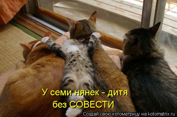 Котоматрица: У семи нянек - дитя без СОВЕСТИ