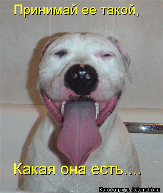Принимай ее такой, Какая она есть....... Котоматрица: Принимай ее такой, Какая она есть....