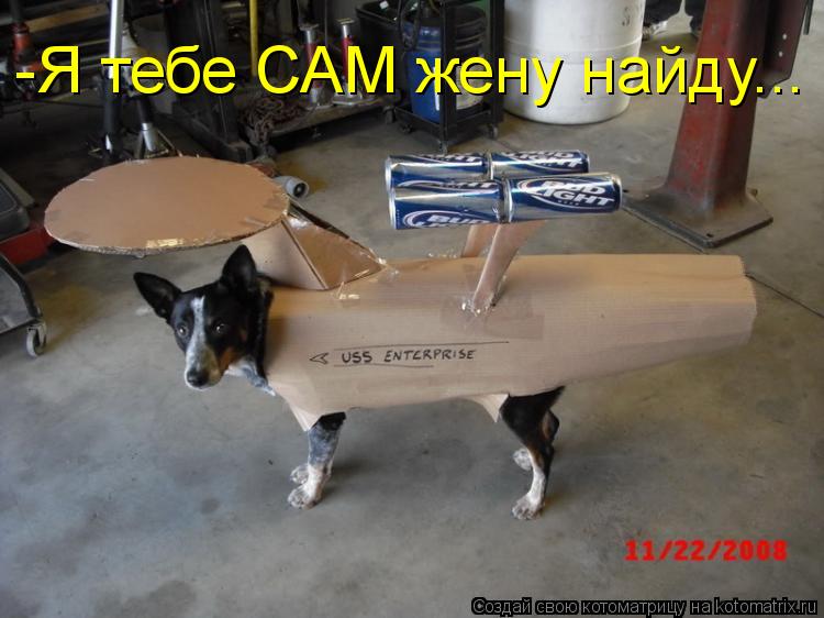 -Я тебе САМ жену найду...... Котоматрица: -Я тебе САМ жену найду...
