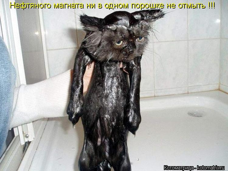 Котоматрица: Нефтяного магната ни в одном порошке не отмыть !!!