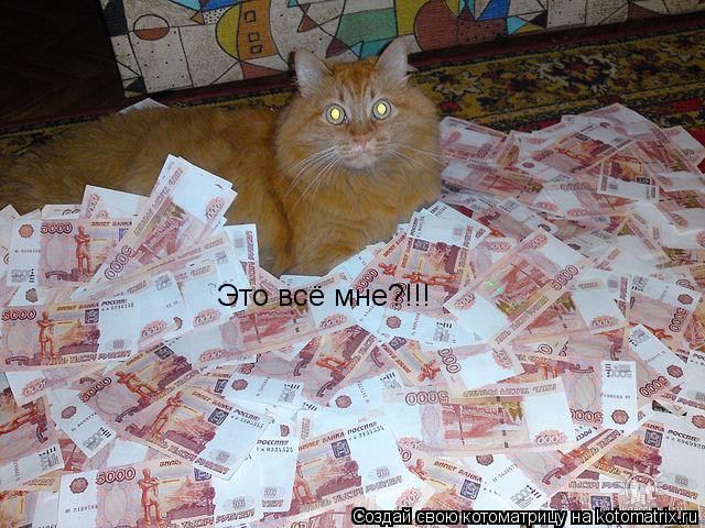 Это всё мне?!!!... Котоматрица: Это всё мне?!!!