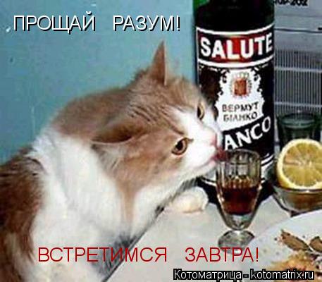 Котоматрица: ПРОЩАЙ   РАЗУМ! ВСТРЕТИМСЯ   ЗАВТРА!