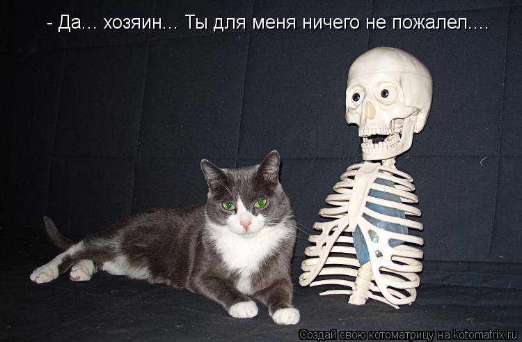 - Да... хозяин... Ты для меня ничего не пожалел....... Котоматрица: - Да... хозяин... Ты для меня ничего не пожалел....
