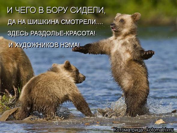 Котоматрица: И ЧЕГО В БОРУ СИДЕЛИ, ДА НА ШИШКИНА СМОТРЕЛИ.... ЗДЕСЬ РАЗДОЛЬЕ-КРАСОТА! И ХУДОЖНИКОВ НЭМА!