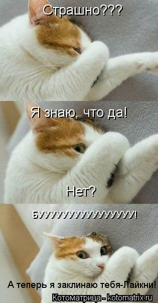 Котоматрица: Страшно??? Я знаю, что да! Нет? БУУУУУУУУУУУУУУУУ! А теперь я заклинаю тебя-Лайкни!