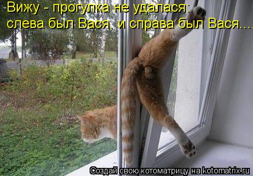 Котоматрица: Вижу - прогулка не удалася: слева был Вася, и справа был Вася.....