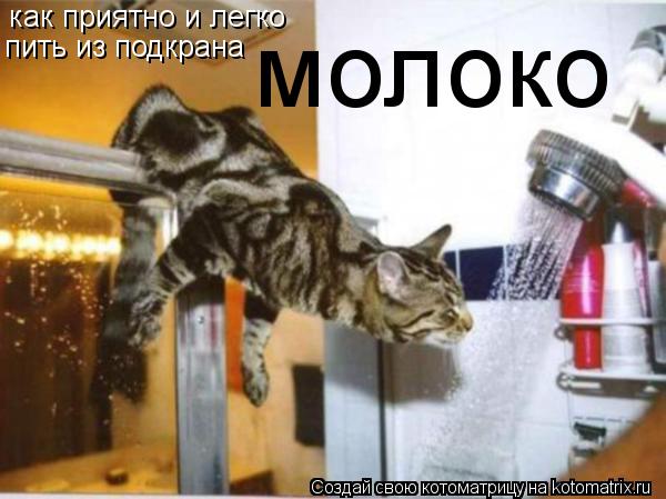 как приятно и легко пить из подкрана молоко... Котоматрица: как приятно и легко пить из подкрана молоко
