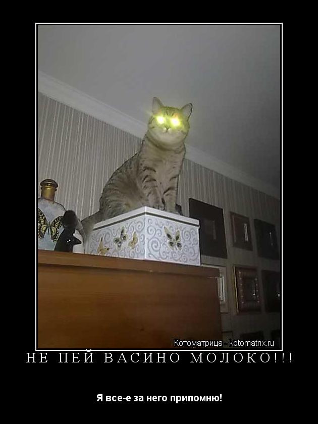 Не Пей Васино молоко!!! Я все-е за него припомню!... Котоматрица: Не Пей Васино молоко!!! Я все-е за него припомню!
