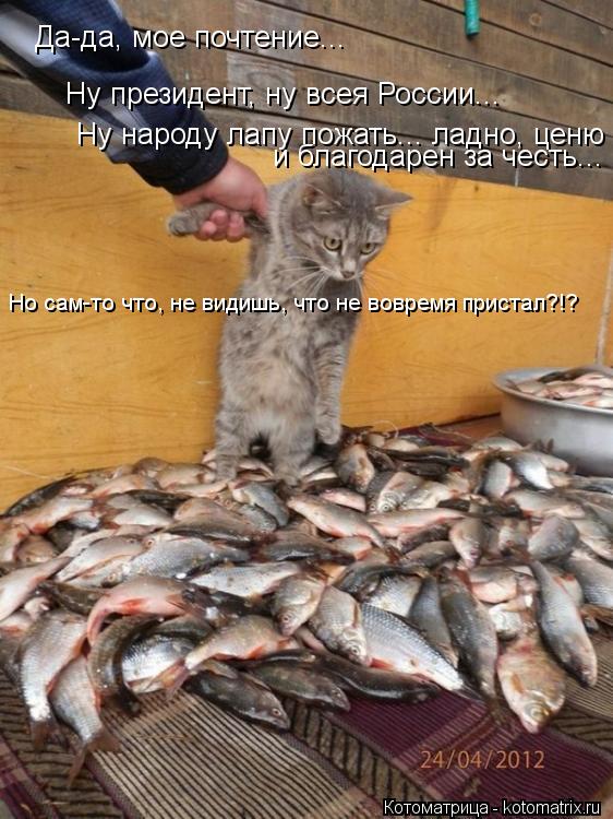 Да-да, мое почтение... Ну президент, ну всея России... Ну народу лапу пожать... ладно, ценю и благода... Котоматрица: Да-да, мое почтение... Ну президент, ну всея России... Ну народу лапу пожать... ладно, ценю и благодарен за честь... Но сам-то что, не видишь, что не