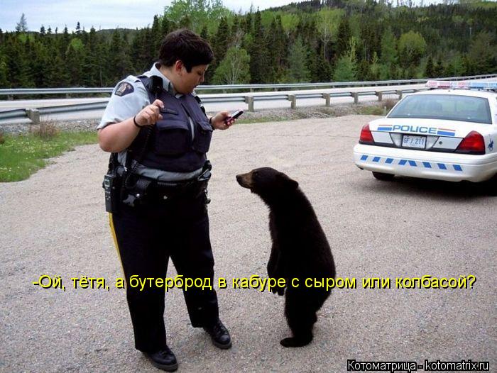 -Ой, тётя, а бутерброд в кабуре с сыром или колбасой?... Котоматрица: -Ой, тётя, а бутерброд в кабуре с сыром или колбасой?
