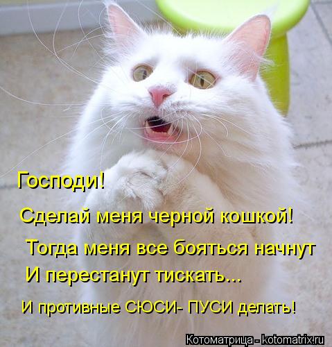 Котоматрица: Господи! Сделай меня черной кошкой! Тогда меня все бояться начнут И перестанут тискать... И противные СЮСИ- ПУСИ делать!