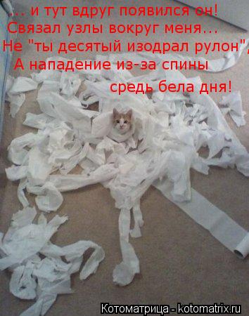 Котоматрица: ... и тут вдруг появился он! Связал узлы вокруг меня... Не "ты десятый изодрал рулон",   А нападение из-за спины средь бела дня!