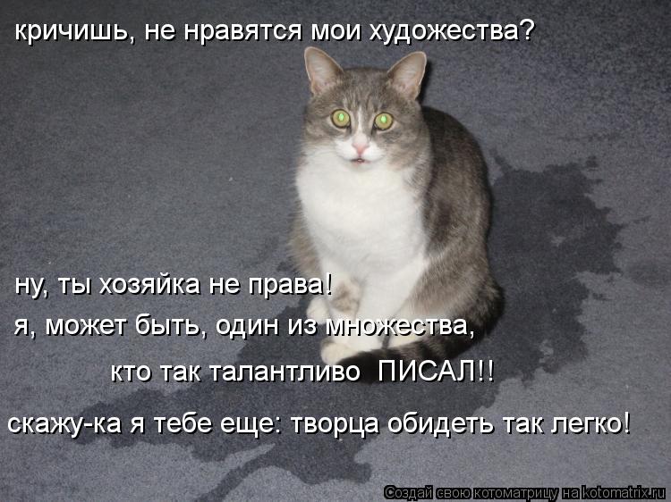 Котоматрица: кричишь, не нравятся мои художества? ну, ты хозяйка не права! я, может быть, один из множества, кто так талантливо  ПИСАЛ!! скажу-ка я тебе еще: 