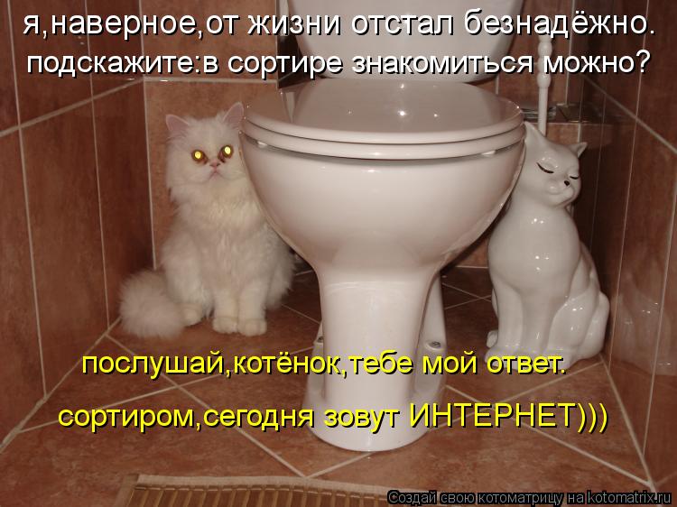 я,наверное,от жизни отстал безнадёжно. подскажите:в сортире знакомиться можно? послушай,котёнок,тебе ... Котоматрица: я,наверное,от жизни отстал безнадёжно. подскажите:в сортире знакомиться можно? послушай,котёнок,тебе мой ответ. сортиром,сегодня зовут ИНТ