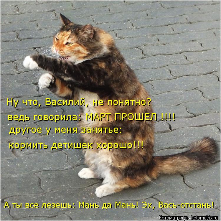 ведь говорила: МАРТ ПРОШЕЛ !!!! другое у меня занятье: кормить детишек хорошо!!! А ты все лезешь: Ман... Котоматрица: ведь говорила: МАРТ ПРОШЕЛ !!!! другое у меня занятье: кормить детишек хорошо!!! А ты все лезешь: Мань да Мань! Эх, Вась-отстань! Ну что, Василий,