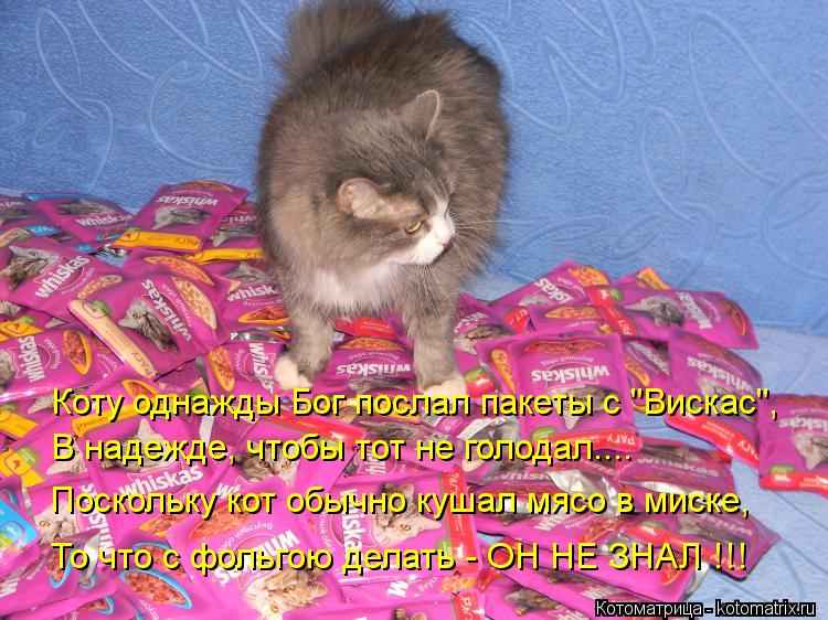 Коту однажды Бог послал пакеты с "Вискас", В надежде, чтобы тот не голодал.... Поскольку кот обычно к... Котоматрица: Коту однажды Бог послал пакеты с "Вискас", В надежде, чтобы тот не голодал.... Поскольку кот обычно кушал мясо в миске, То что с фольгою делать -