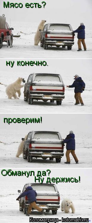 Котоматрица: Мясо есть? ну конечно. проверим! Обманул да? Ну держись!