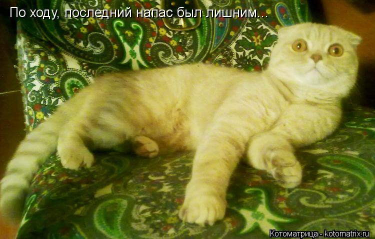 Котоматрица: По ходу, последний напас был лишним...