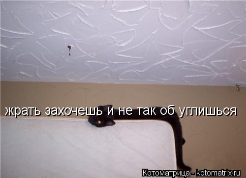 Котоматрица: жрать захочешь и не так об углишься