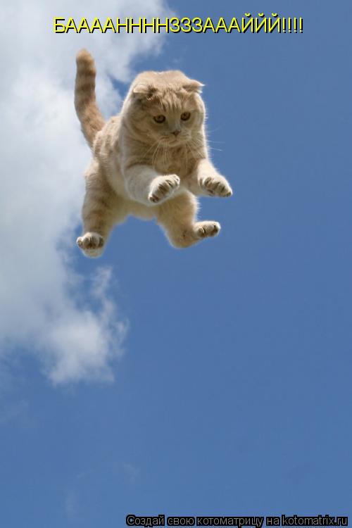 БААААННННЗЗЗАААЙЙЙ!!!!... Котоматрица: БААААННННЗЗЗАААЙЙЙ!!!!