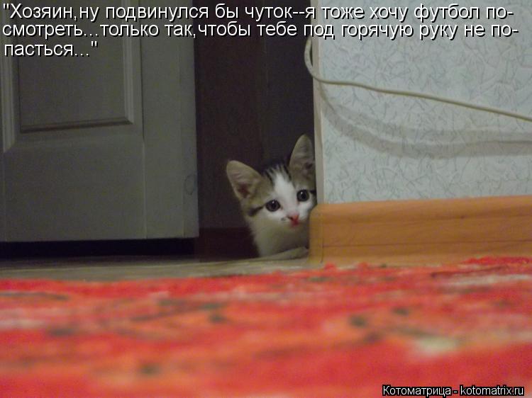 Котоматрица: "Хозяин,ну подвинулся бы чуток--я тоже хочу футбол по- смотреть...только так,чтобы тебе под горячую руку не по- пасться..."