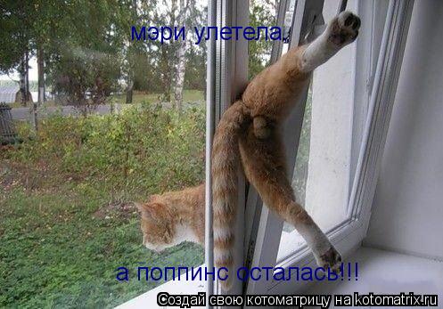 мэри улетела, а поппинс осталась!!!... Котоматрица: мэри улетела, а поппинс осталась!!!