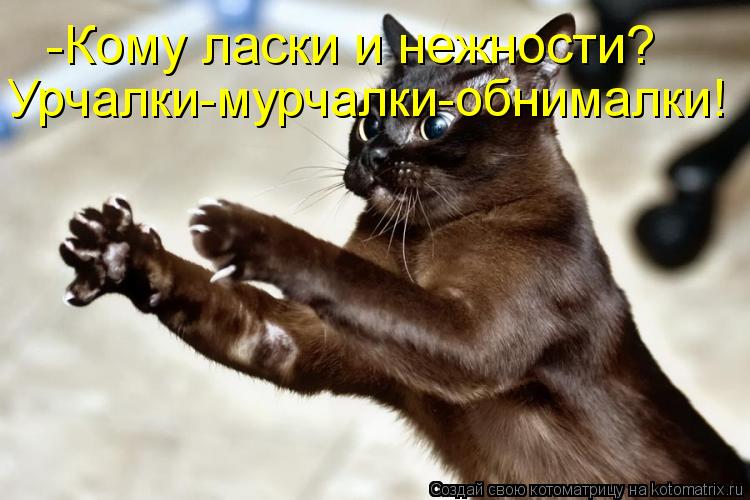 Котоматрица: -Кому ласки и нежности? Урчалки-мурчалки-обнималки!