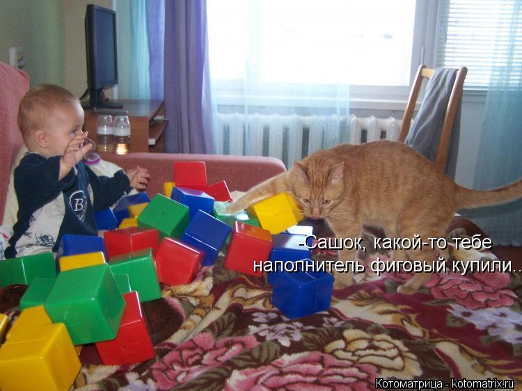 Котоматрица: -Сашок, какой-то тебе  наполнитель фиговый купили...