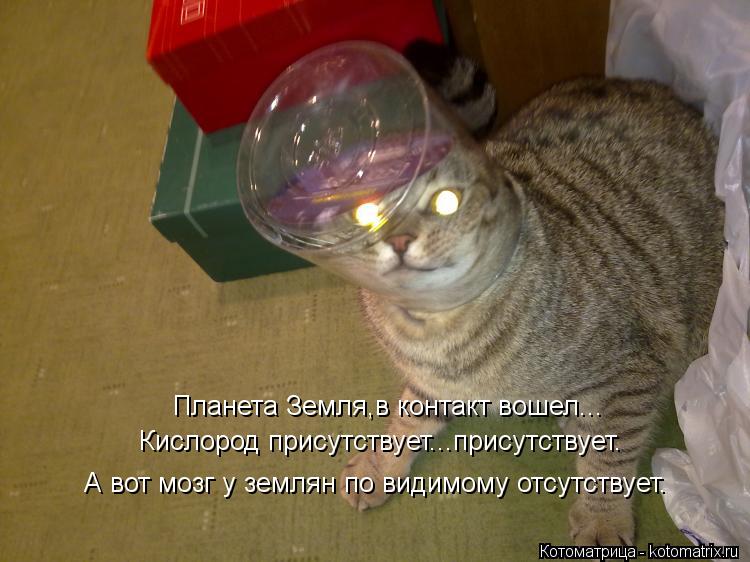 Планета Земля,в контакт вошел... Кислород присутствует...присутствует. А вот мозг у землян по видимом... Котоматрица: Планета Земля,в контакт вошел... Кислород присутствует...присутствует. А вот мозг у землян по видимому отсутствует.