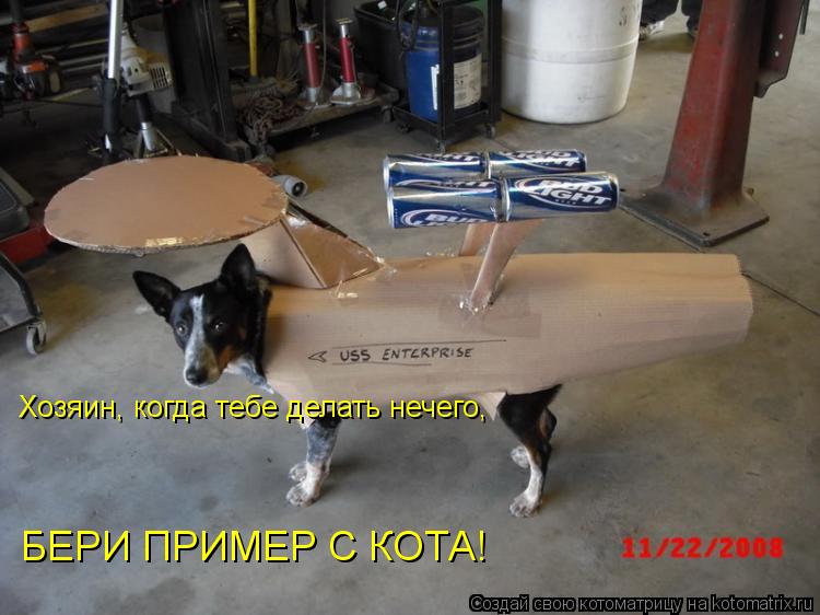 Хозяин, когда тебе делать нечего, БЕРИ ПРИМЕР С КОТА!... Котоматрица: Хозяин, когда тебе делать нечего, БЕРИ ПРИМЕР С КОТА!