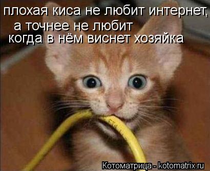 Котоматрица: а точнее не любит  когда в нём виснет хозяйка плохая киса не любит интернет,