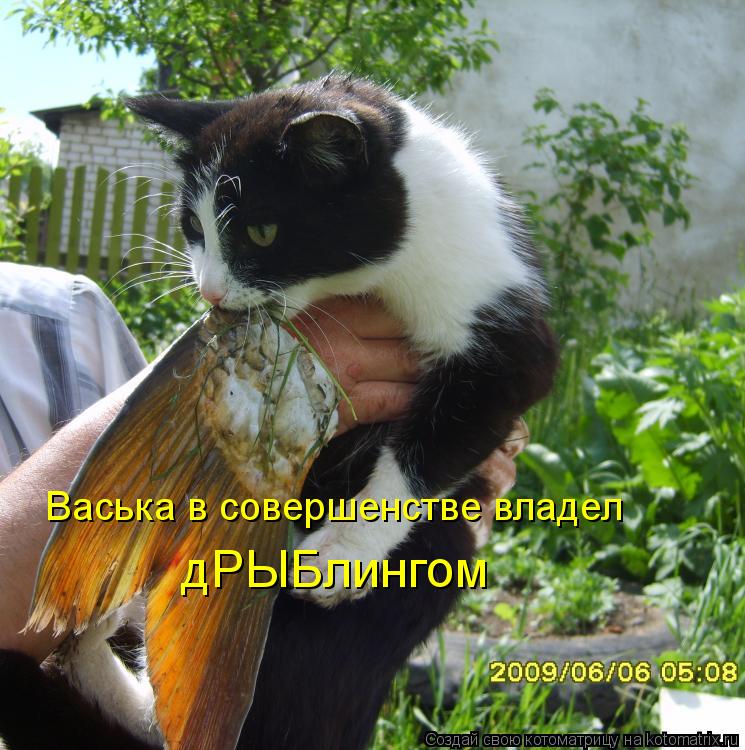 Васька в совершенстве владел дРЫБлингом... Котоматрица: Васька в совершенстве владел дРЫБлингом