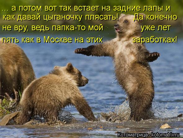 ... а потом вот так встает на задние лапы и как давай цыганочку плясать! Да конечно не вру, ве... Котоматрица: ... а потом вот так встает на задние лапы и как давай цыганочку плясать! Да конечно не вру, ведь папка-то мой уже лет пять как в Моск