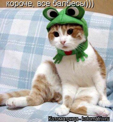 Котоматрица: короче, все балбесы)))