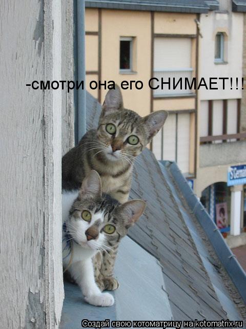 -смотри она его СНИМАЕТ!!!... Котоматрица: -смотри она его СНИМАЕТ!!!