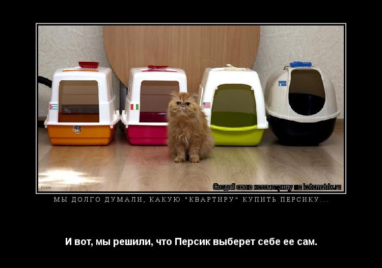 Мы долго думали, какую "квартиру" купить Персику... И вот, мы решили, что Персик выберет себе ее сам.... Котоматрица: Мы долго думали, какую "квартиру" купить Персику... И вот, мы решили, что Персик выберет себе ее сам.