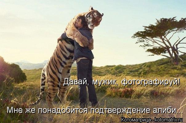 Мне же понадобится подтверждение алиби... Давай, мужик, фотографируй!... Котоматрица: Мне же понадобится подтверждение алиби... Давай, мужик, фотографируй!