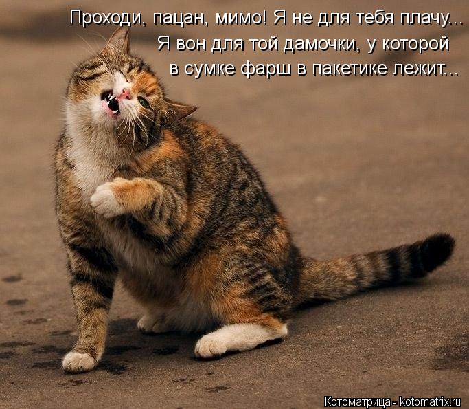 Я вон для той дамочки, у которой Проходи, пацан, мимо! Я не для тебя плачу... в сумке фарш в пакетик... Котоматрица: Я вон для той дамочки, у которой Проходи, пацан, мимо! Я не для тебя плачу... в сумке фарш в пакетике лежит...
