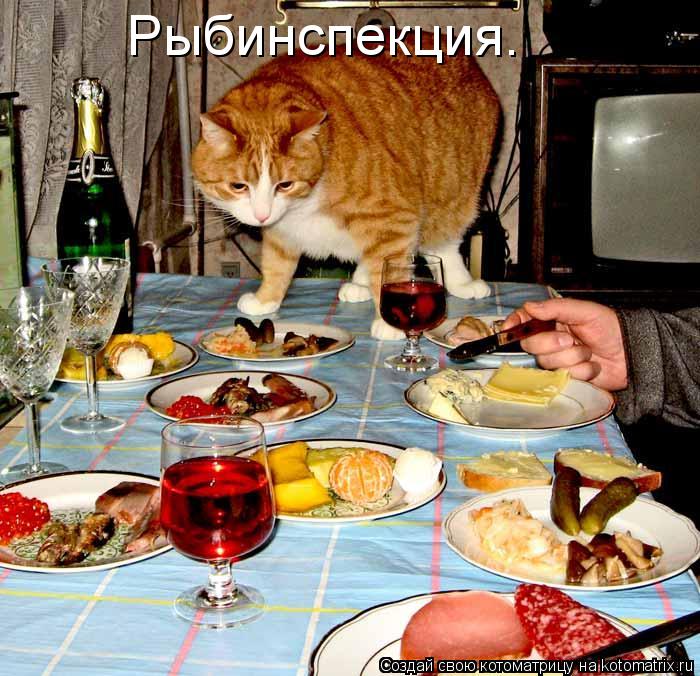 Рыбинспекция.... Котоматрица: Рыбинспекция.