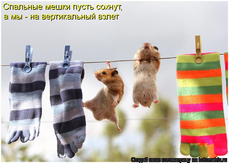 Спальные мешки пусть сохнут, а мы - на вертикальный взлет... Котоматрица: Спальные мешки пусть сохнут, а мы - на вертикальный взлет
