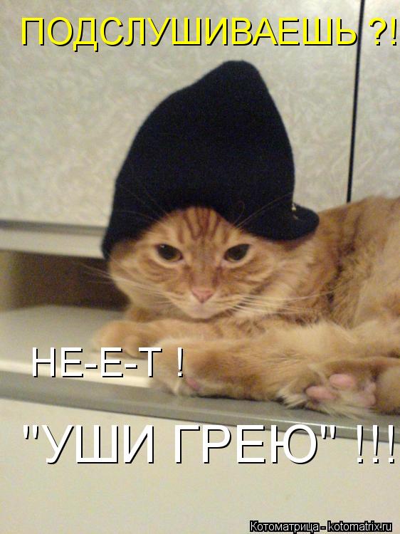 ПОДСЛУШИВАЕШЬ ?! НЕ-Е-Т ! "УШИ ГРЕЮ" !!!... Котоматрица: ПОДСЛУШИВАЕШЬ ?! НЕ-Е-Т ! "УШИ ГРЕЮ" !!!